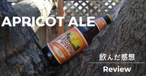 【アメリカのオススメクラフトビールレポート】：APRICOT ALE