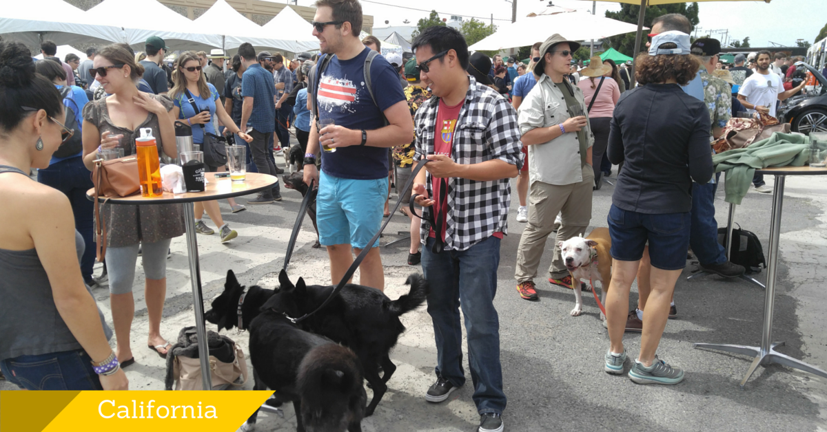 人気イベント!第3回 里親募集ワンニャンクラフトビール祭り!