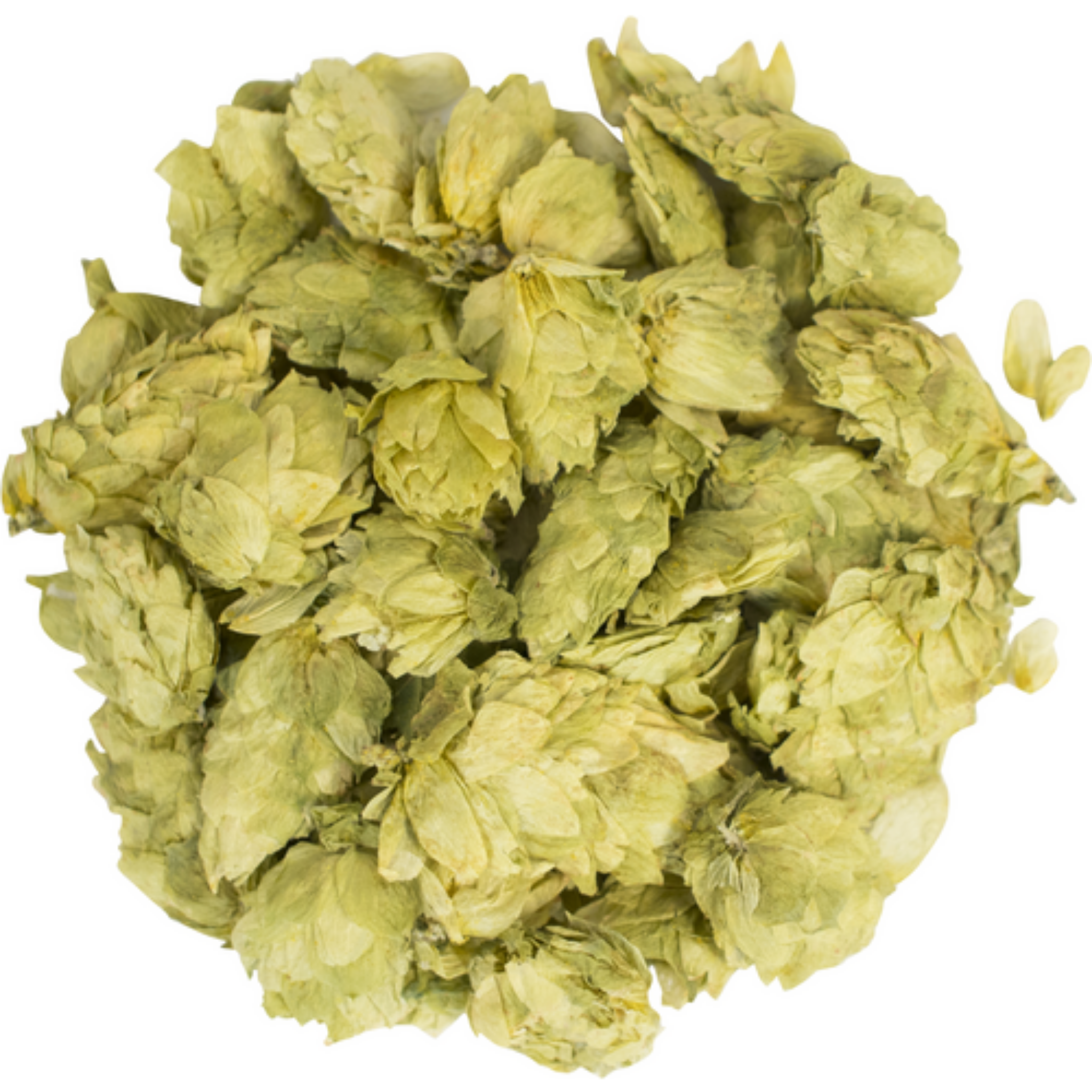 Mosaic® Brand HBC 369 | Whole Cone Hops