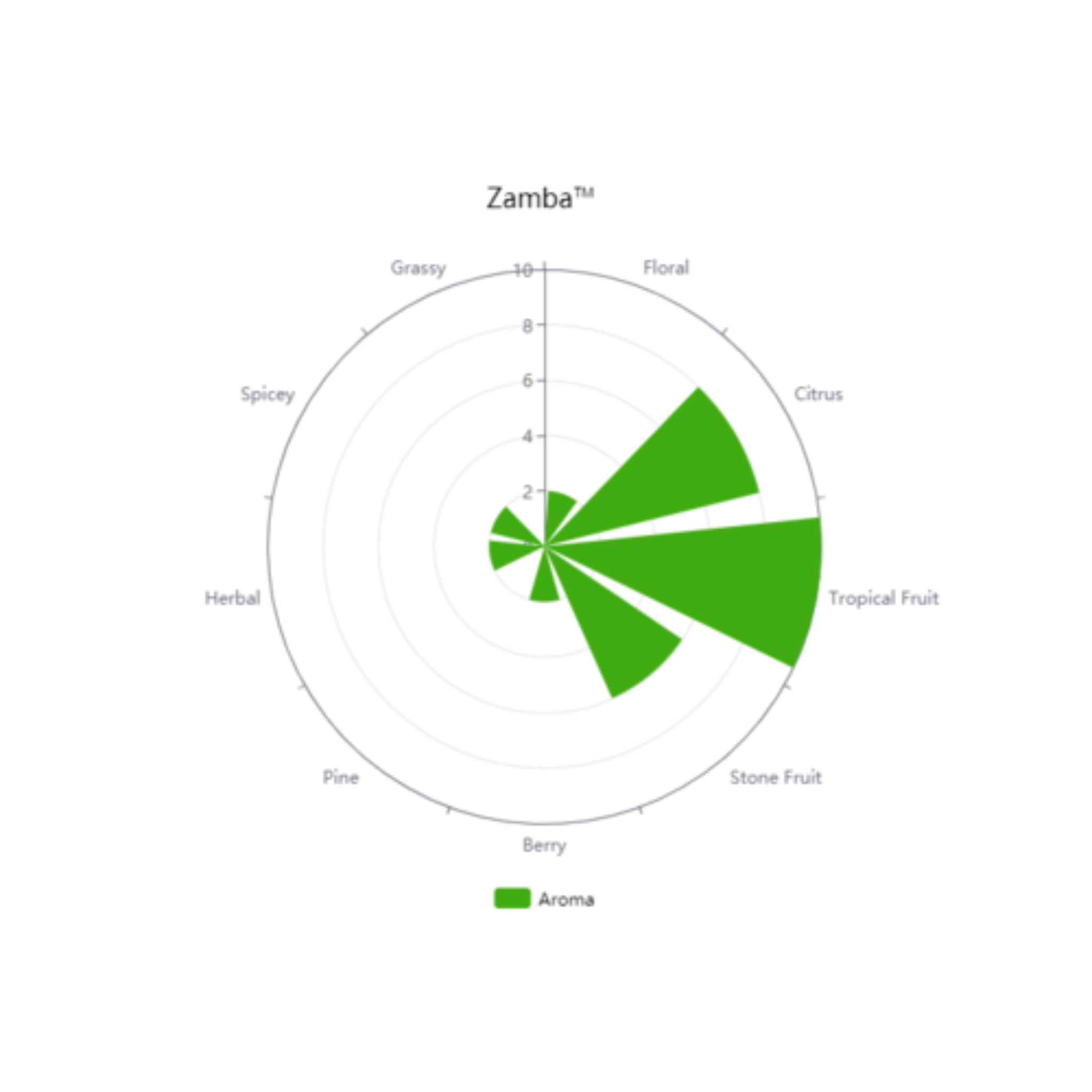 Zamba™ Hops (Pellets)